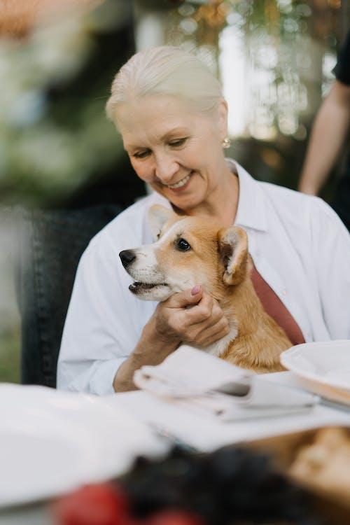 Top Dog Breeds for Older Individuals