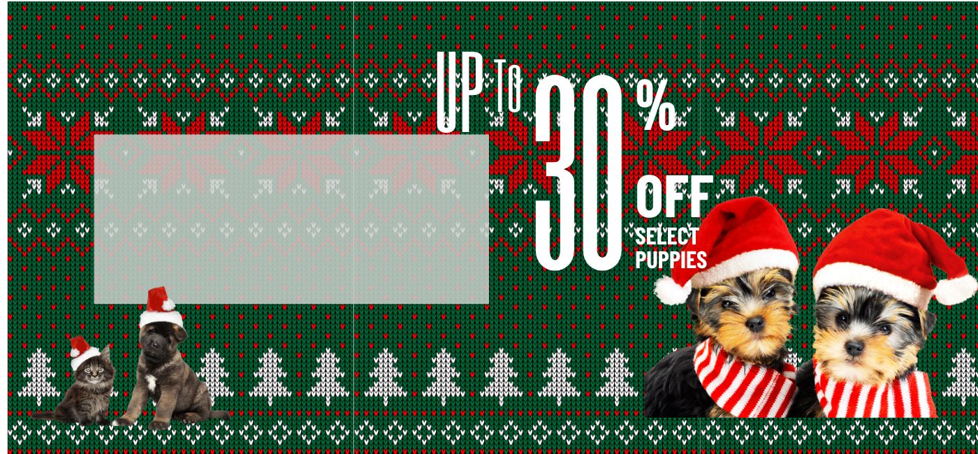 Find Puppies & Kittens For Sale banner