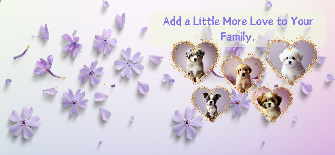 Find Puppies & Kittens For Sale banner