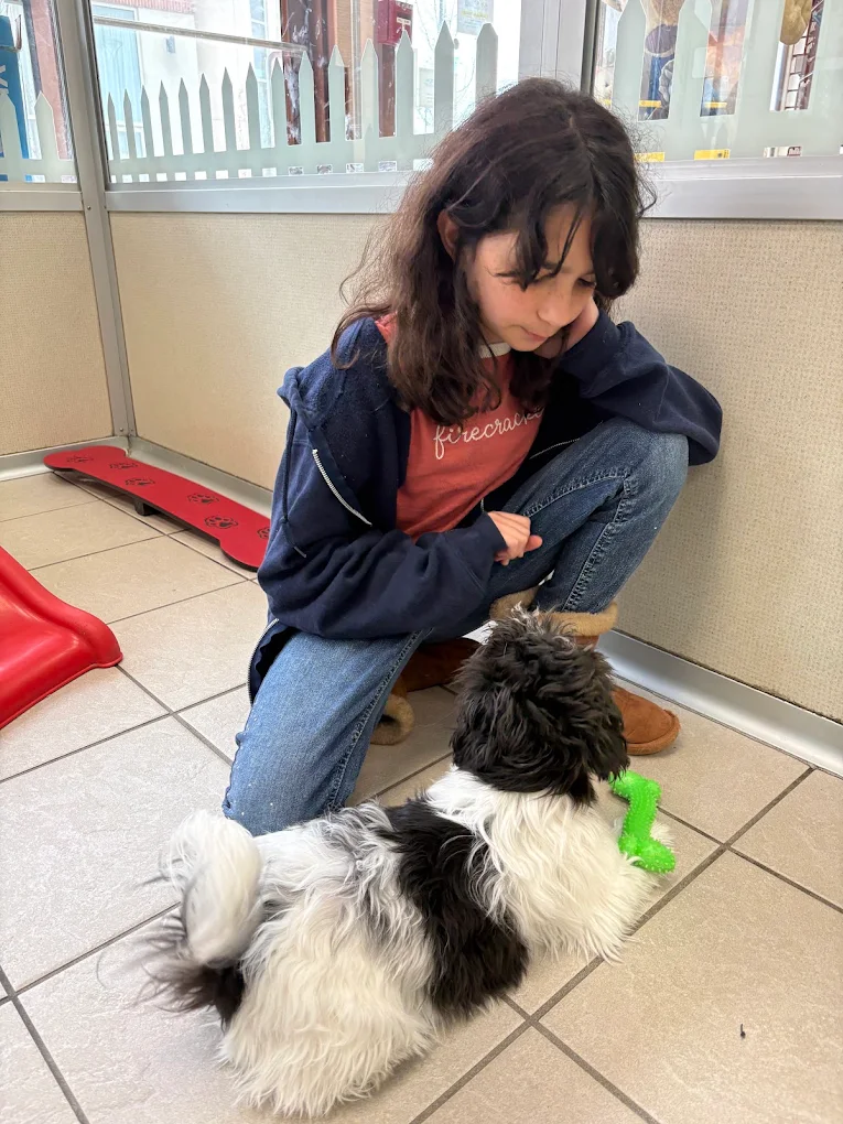 A young person sitting with a black-and-white puppy and a green toy
