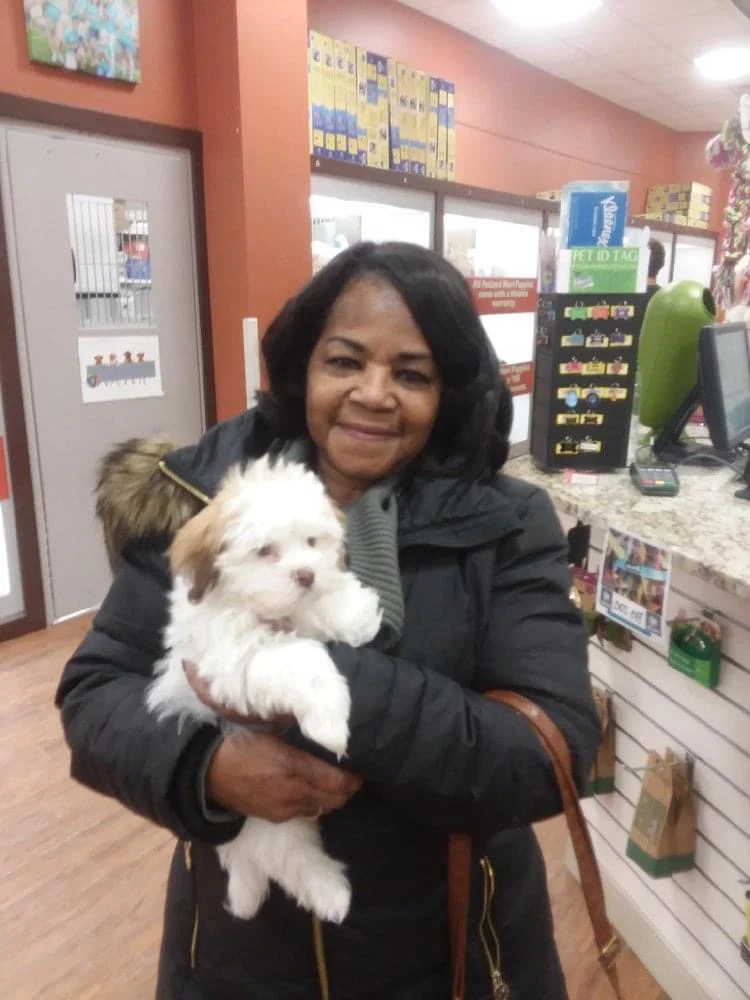 A woman holding a small white-and-brown puppy